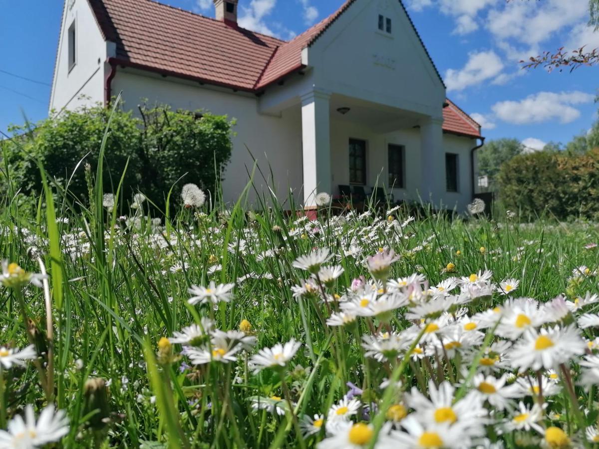 Отель Park Vendeghaz Herend Экстерьер фото